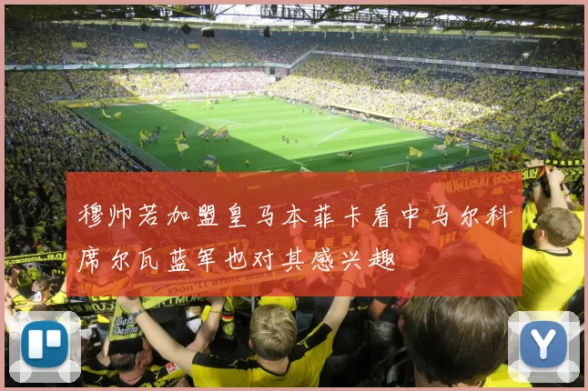 穆帅若加盟皇马本菲卡看中马尔科席尔瓦蓝军也对其感兴趣
